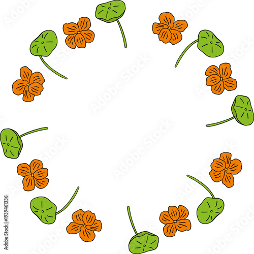 Round frame with cute nasturtium on white background.eps