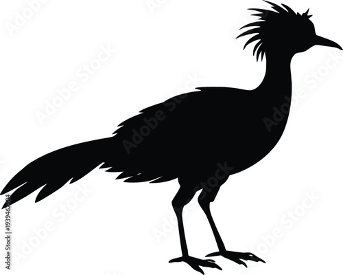 Roadrunner, Greater Roadrunner Silhouette