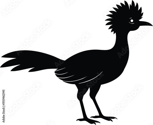 Roadrunner, Desert Bird Silhouette