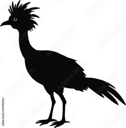 Roadrunner, Crested Bird Silhouette