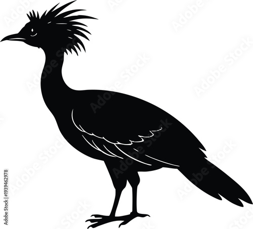 Seriema, South American Crested Bird