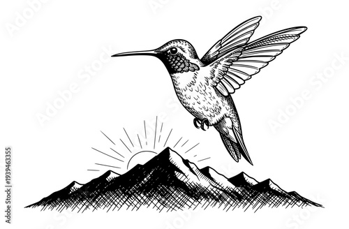 Hummingbird Flying over Mountain Peak Black and White Engraving Style Vector Illustration