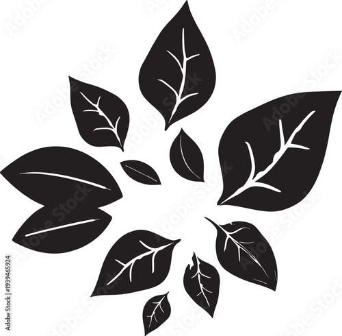 Black White Minimalistic Leaf Detailed Veins Zen Spiritual Vector Illustration Design