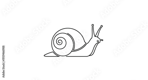 Minimalist black line drawing snail illustration isolated on white background