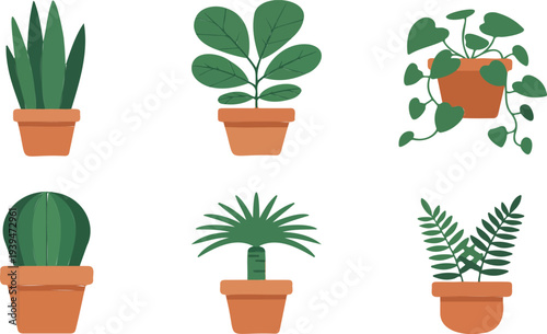 Collection of Six Popular Indoor Houseplants in Terracotta Pots Including Succulents, Palms, and Leafy Green Foliage Vector Illustration