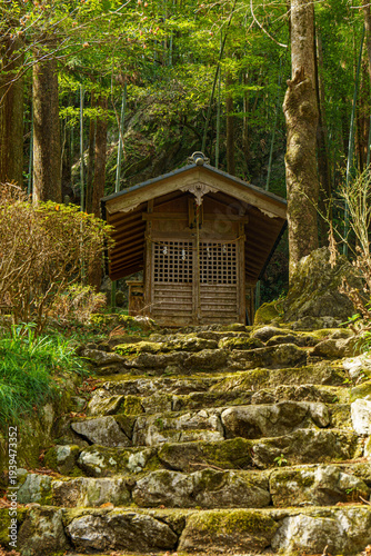 森の中の小さな祠