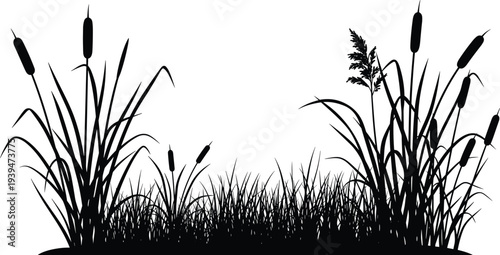 Cattail Reed Grass Silhouette Border with Marsh Plants and Wetland Vegetation, Nature Landscape Decoration Vector Illustration Isolated on Background