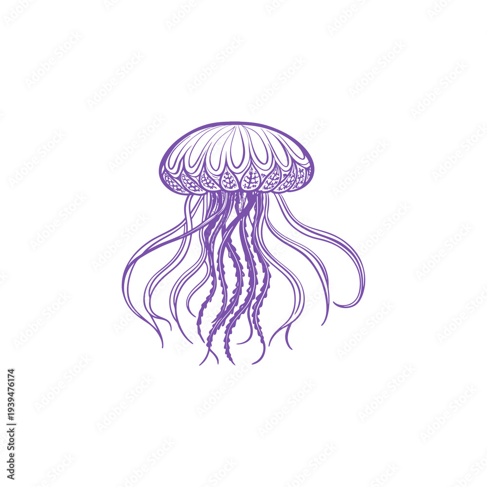 Fototapeta premium Intricate purple line art illustration of a jellyfish with flowing tentacles on a white background.