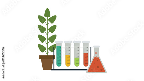 Laboratory experiment with plant and colorful test tubes