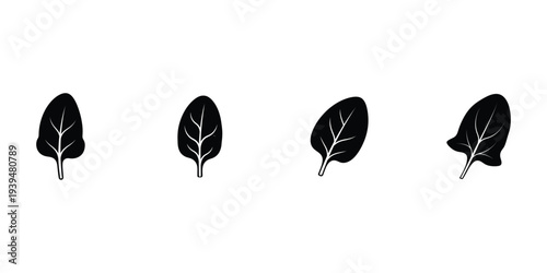 spinach emblem icon set.