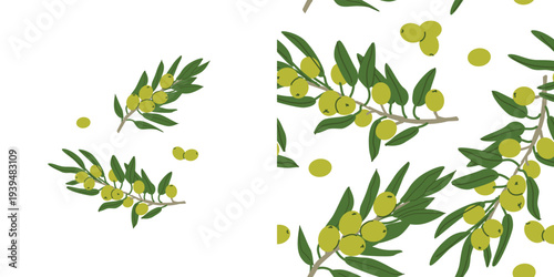 Green raw olive branch and seamless pattern. Hand drawn cartoon vector illustration isolated. Olive plant botanical texture with composition.