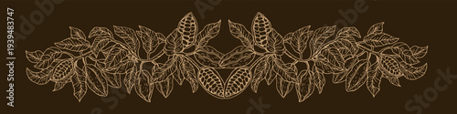 Hand drawn cacao botanical divider with cocoa pods, beans and tropical leaves. Vintage sketch ornament inspired by cocoa plantations. Natural chocolate themed border for packaging, textile print