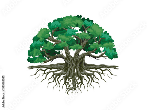 Tree and roots vector, tree with round shape	