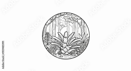 Lush forest scene with a large bromeliad at the forefront