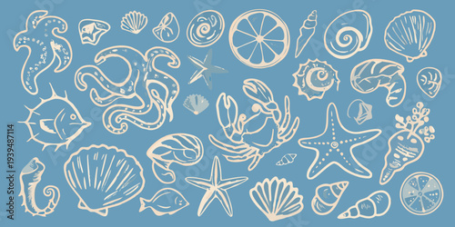 A collection of hand drawn marine life and seashells on blue background