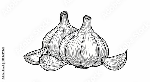 Two bulbs and three cloves of garlic rendered in a detailed black and white engraving style