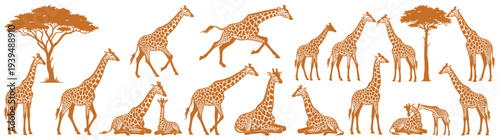 Large collection of orange giraffe silhouettes and acacia trees in various poses for safari and African wildlife nature design isolated on white background vector illustration set