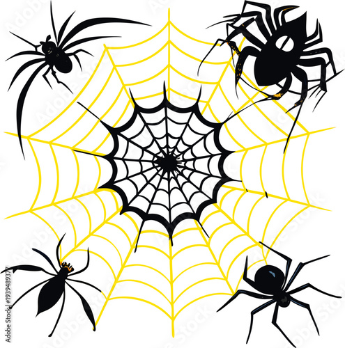 Spider on web. Set of different spiderweb designs. Abstract texture of insect traps. Halloween design element. Isolated graphic template. Vector set.