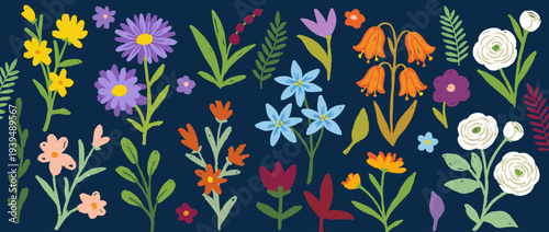 Colorful Hand Drawn Wildflower and Floral Element Collection with Spring Summer Meadow Flowers and Leaves on Dark Blue Background for Decorative Patterns and Nature Designs