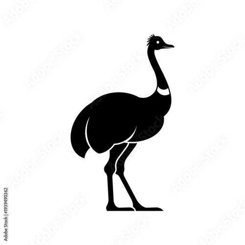 Australian emu bird Black silhouette. Minimalist animal icon representing Australian wildlife and nature. Flat vector illustration isolated on white background.