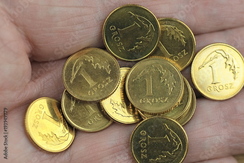 Several coins worth one Polish grosz are held in the hand