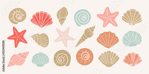 Collection of colorful seashells and starfish in a playful arrangement