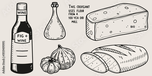 Hand drawn illustration of wine cheese bread and figs on a beige background