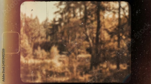 Vintage film still of a dense forest with trees and foliage in warm, golden tones, captured with a film grain effect.