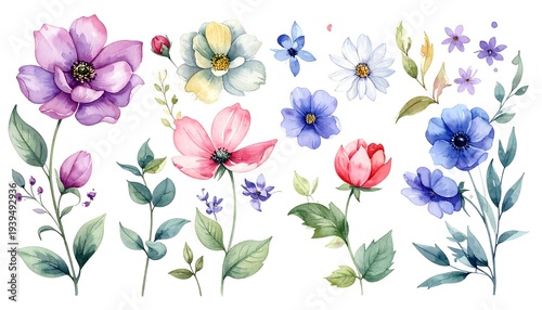 Watercolor floral elements, assorted colors, delicate blooms, and foliage on a white background