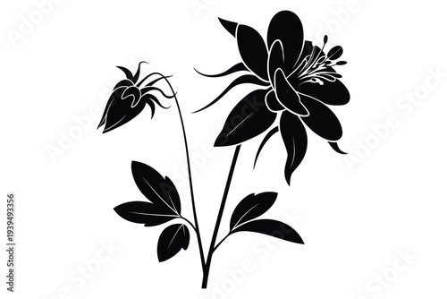 Aquilegia flower silhouette illustration featuring one fully bloomed blossom and one closed bud with detailed leaves on stem