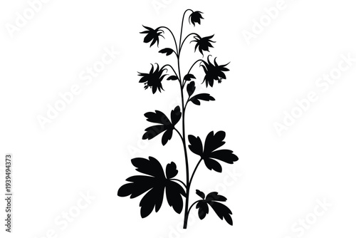 Tall flowering plant silhouette with multiple star shaped blossoms and distinctive lobed leaves growing upwards
