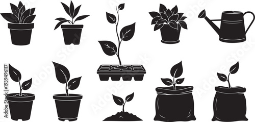 Black and white plants in pots with gardening tools