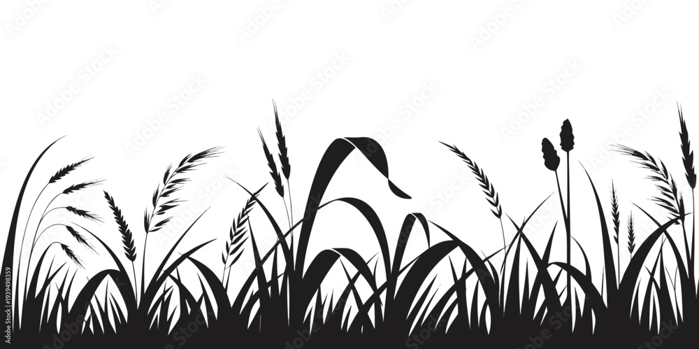 Fototapeta premium Grass field border isolated on white background. Silhouette garden grass lawn horizontal elements vector illustration. vector icon 