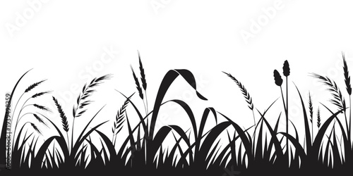 Grass field border isolated on white background. Silhouette garden grass lawn horizontal elements vector illustration. vector icon
