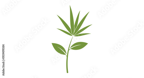 Simple illustration of a green plant with long narrow leaves resembling bamboo and two rounded base leaves on a white background.