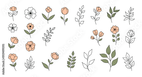 Collection of simple hand-drawn flowers and leaves in peach, white, and green tones for delicate botanical pattern design.