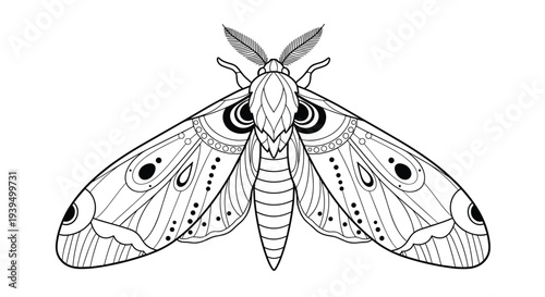 Detailed black and white moth illustration with ornate wing patterns and feathered antennae serves as a beautiful coloring page for nature lovers.