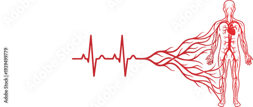 Conceptual Silhouette Of Human Profile With Pulsing Vital Heartbeat Line Flowing Through Body Representing Cardiology Health Wellness And Life Frequency Technology Isolated