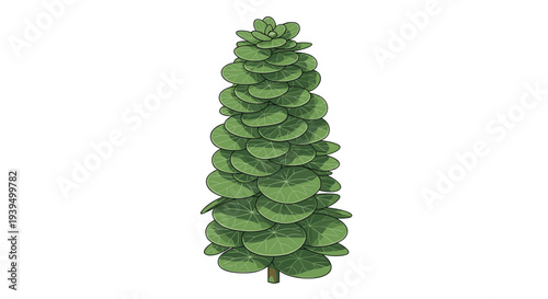 Pilea peperomioides plant with round green leaves stacked vertically is isolated on a white background for modern interior and botanical art.