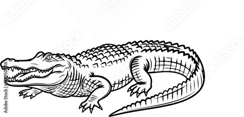 A black and white sketch of an alligator with its mouth open