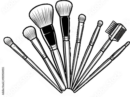 A fan of makeup brushes with varying tip shapes and sizes, rendered in black