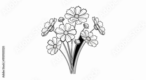 Delicate line art of a cluster of daisies and buds with dark stems