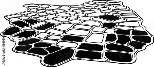 Organic cell-like structure with interconnected cells, some filled