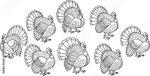 Nine line art turkeys with fanned tails displayed on white