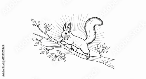 Detailed line drawing of a squirrel on a tree branch with radiating lines