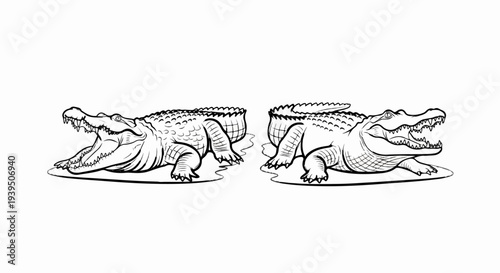 Two detailed line art crocodiles with open jaws, resting on water