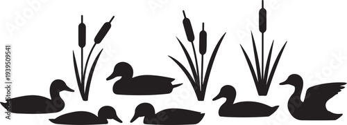 group of wild ducks and typhaceae marsh herb with leaves and spike flowers silhouette icon set
