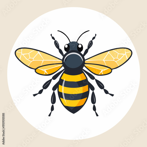 Flat illustration of a honeybee isolated on a circular background