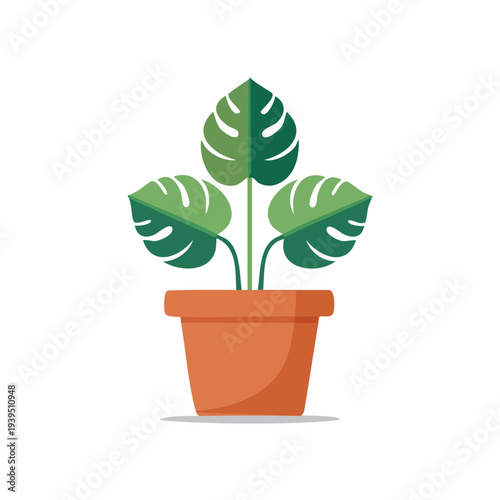 Monstera deliciosa houseplant in a terracotta pot flat vector illustration.