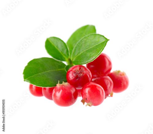 Fresh cowberry berries with leaves, isolated on white background. Ripe cranberry, cowberry, lingonberry. Clipping path.